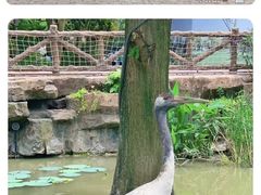 -上海野生动物园