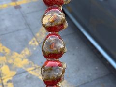 -糖葫芦王保定名吃(古莲花池店)