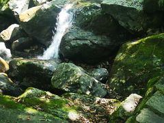 -白云源风景区