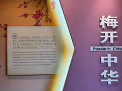 -梅园