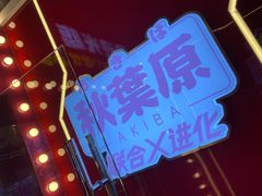 -天天玩X秋葉原日系动漫游戏中心