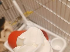 -宜家·瑞典风味餐厅(天津东丽商场店)