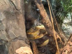 -上海动物园(地铁站)