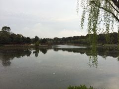 iphone_upload_pic-上海鲜花港