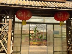 -上海都市菜园