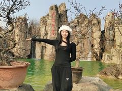 -秀丽东方