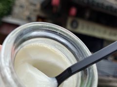 -莫愁村问君老酸奶
