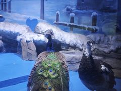 -顺德南宏海立方海洋公园