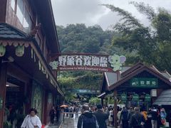-野象谷景区