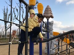 -上海长兴岛郊野公园