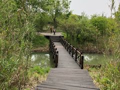 -梁鸿国家湿地公园