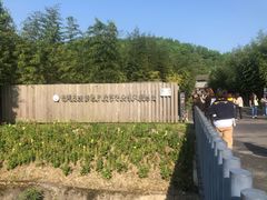-都江堰中华大熊猫苑