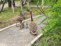 -翠湖国家城市湿地公园