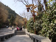 -华清宫景区
