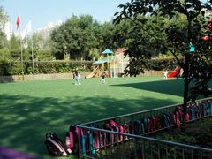 -北京梧桐树双语幼儿园