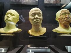 -上海电影博物馆