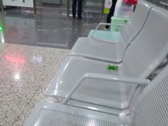 -上海虹桥客运西站