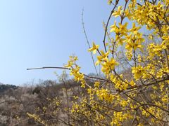 -北京西山国家森林公园