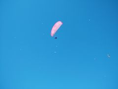 -费特希耶滑翔伞