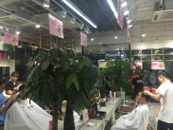 -木北护肤造型