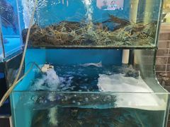 -红日饭店(裕隆三路店)