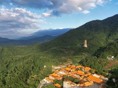 -深圳仙湖植物园