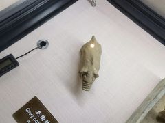 -中国农业博物馆