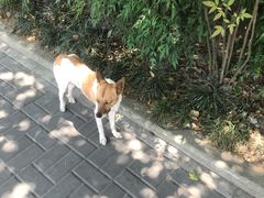 -中兴路(地铁站)