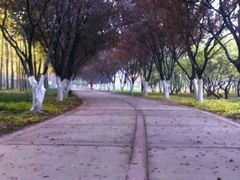 -石家庄市植物园