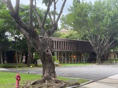 -厦门白鹭洲公园