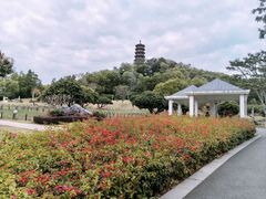 -红花山公园