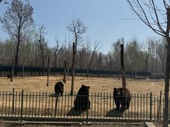 -秦皇岛野生动物园