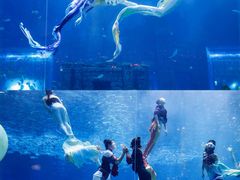 -太平洋海底世界