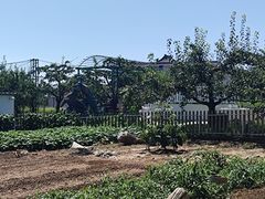 -丽泽山庄·生态怀柔菜·虹鳟鱼(红螺寺店)