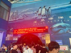 -蓬莱欧乐堡海洋极地世界