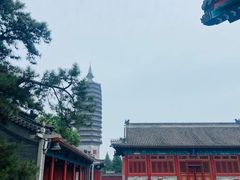 -西海子公园