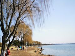 -漕湖湿地公园