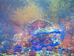 -海合安天津极地海洋公园