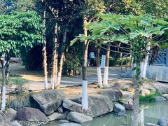 -八仙山公园
