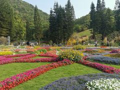 -深圳仙湖植物园