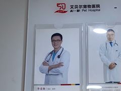 -艾贝尔宠物医院·24H转诊中心·肿瘤猫专科(江宁双龙店)