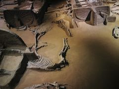 -洛阳周王城天子驾六博物馆