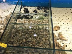 水产区-胖姐活羊烧烤家乡菜(刘家桥店)