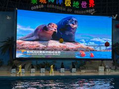 -泉城欧乐堡海洋极地世界