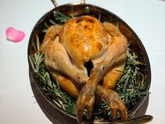 法国黑松露春鸡-Oyster Talks 四度蚝法餐厅