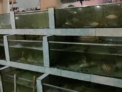 -胜海大排档·海鲜·黄鳝饭(十年老店)