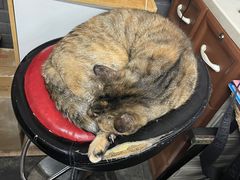 -协和菜馆(凤凰街店)