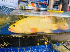 -三亚新鸿港水果一级批发市场
