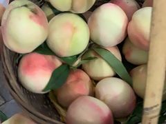 -宾湖农庄·农场特色(太湖龙之梦店)