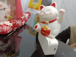 -凡碧诗毛孔收细